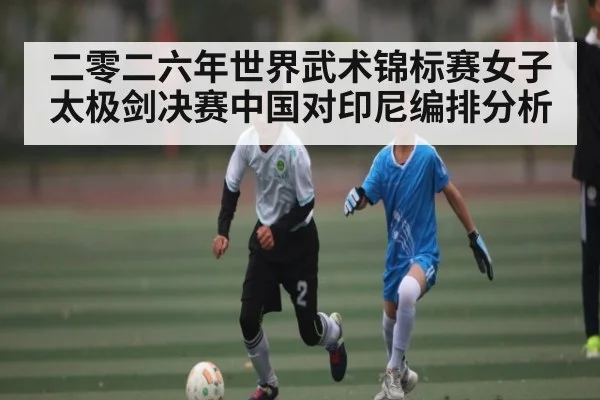 二零二六年世界武术锦标赛女子太极剑决赛中国对印尼编排分析 | kaiyun